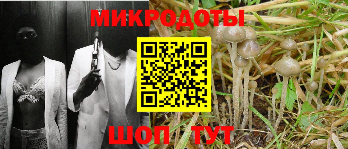 Галлюциногенные грибы мицелий  Вход с VPN  даркнет сайт  Малоярославец 