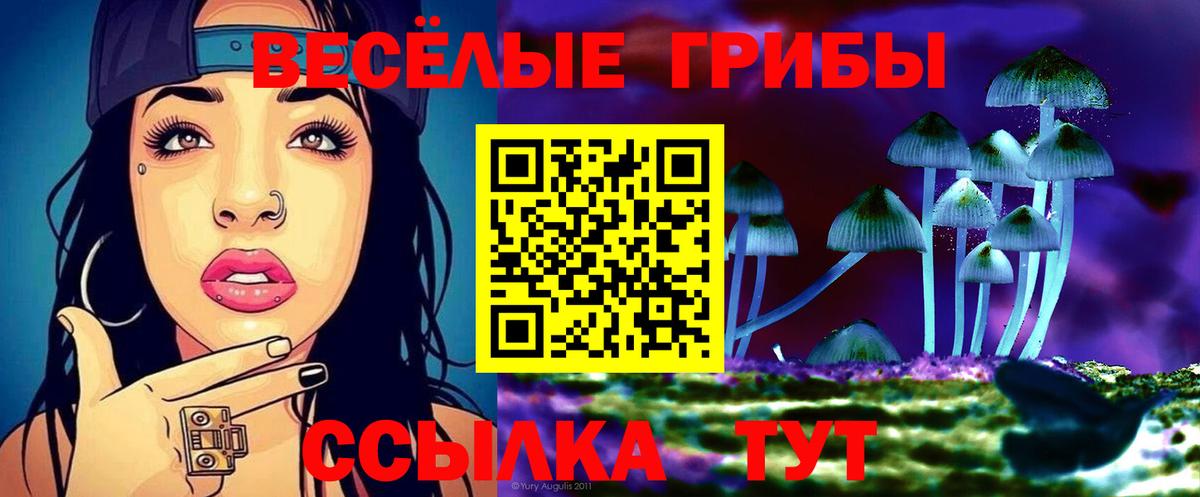 Псилоцибиновые грибы GOLDEN TEACHER Малоярославец
